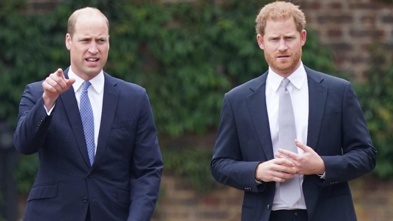 Lady Diana (foto Ansa)