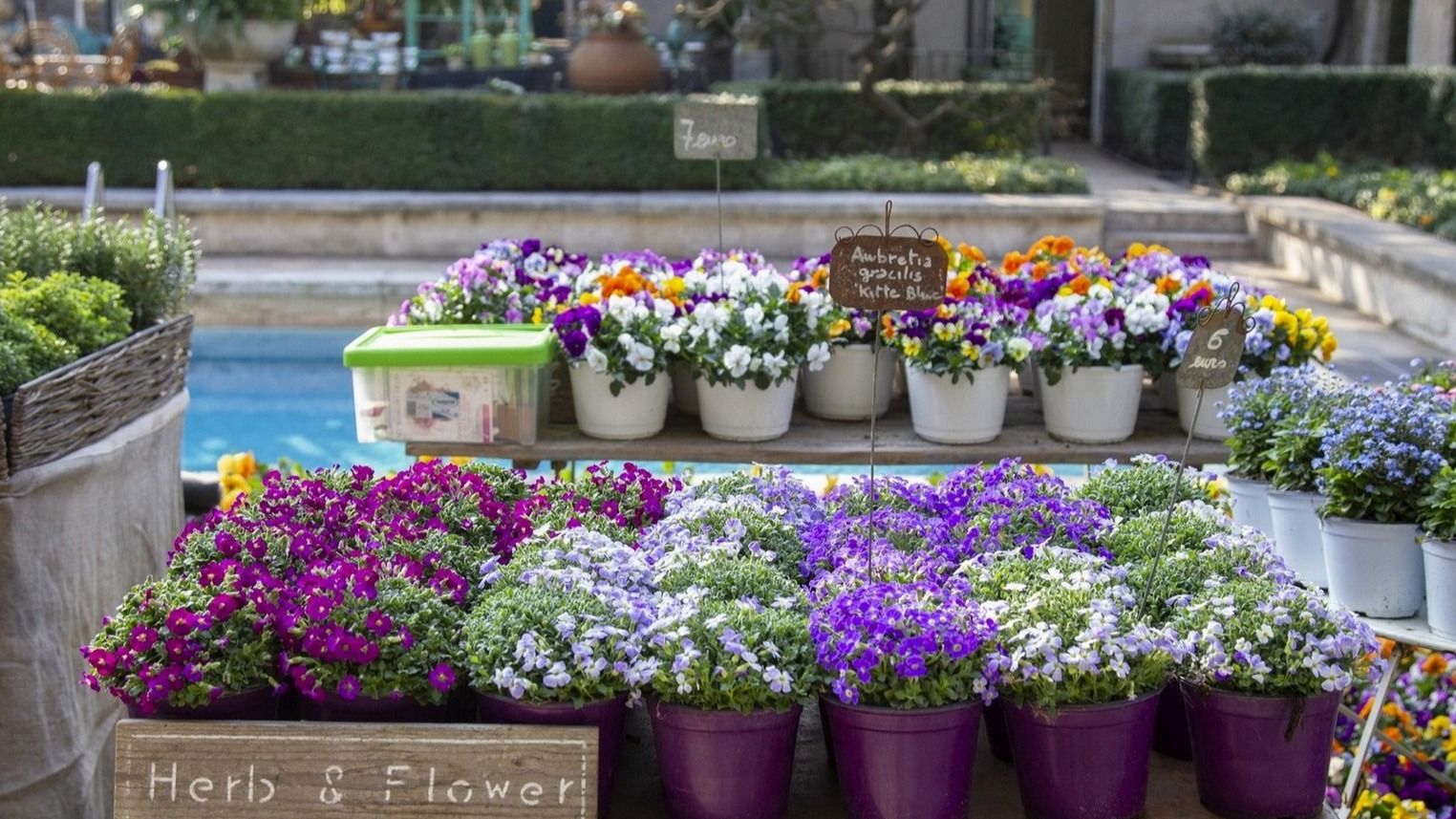  Soffio di Primavera a Villa Necchi © FAI - Credits: Courtesy Press Office