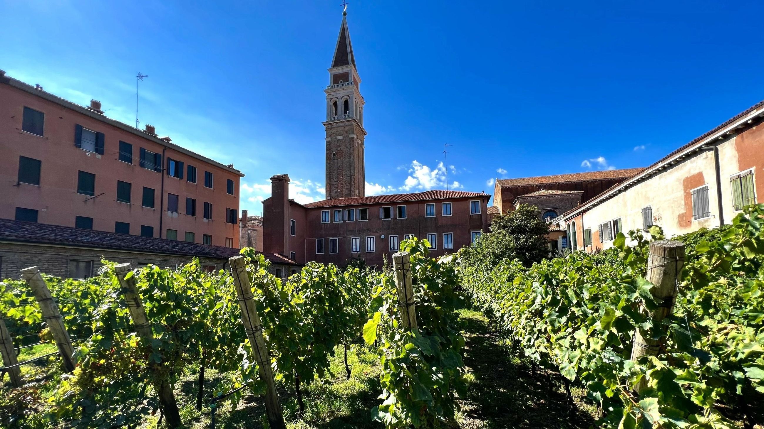 San Francesco della Vigna - Courtesy Press Office