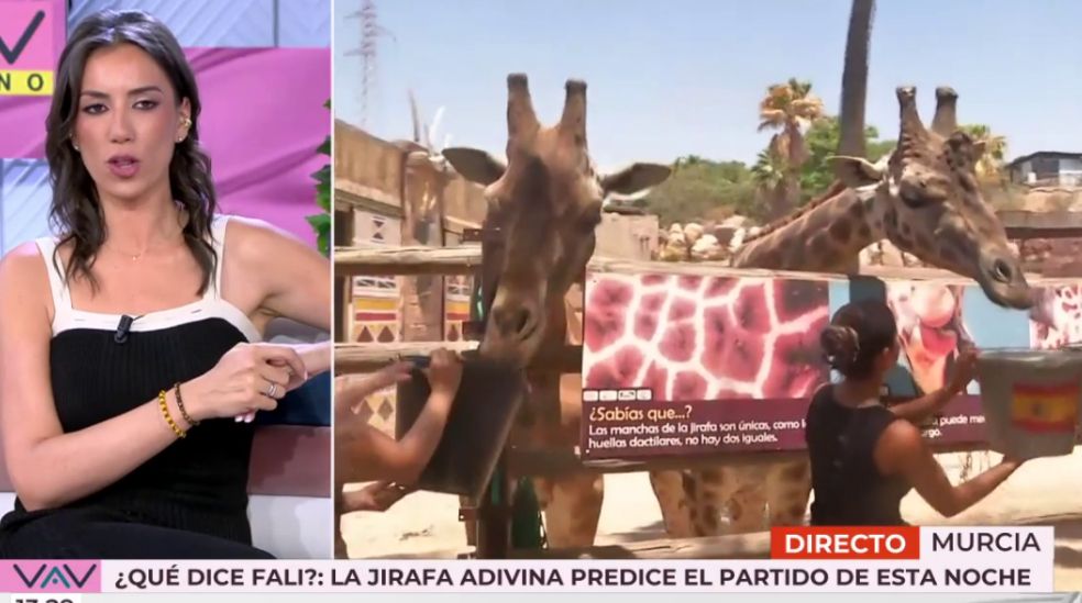 El momento en el que la jirafa Fali ha escogido el cubo de comida