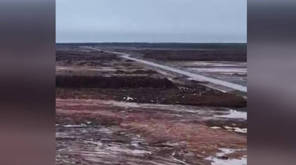 El estado en que ha quedado el bosque tras la deforestación de 250.000 árboles por parte de Google en una zona prevista para su mayor inversión en Europa, destinada a la IA.