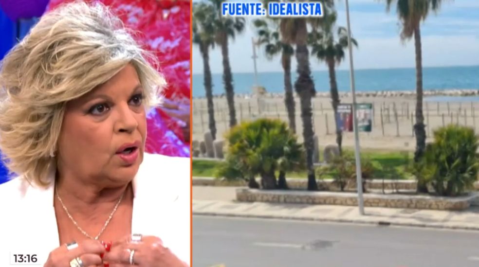 Terelu Campos ha señalado a su sobrino José María Almoguera como el responsable