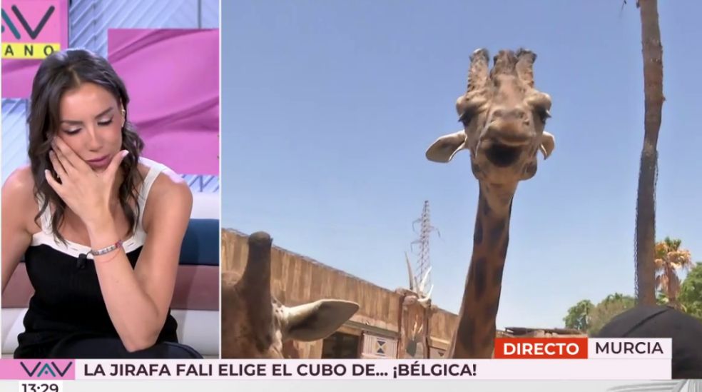 Patricia Pardo, compungida tras la decisión de la jirafa Fali