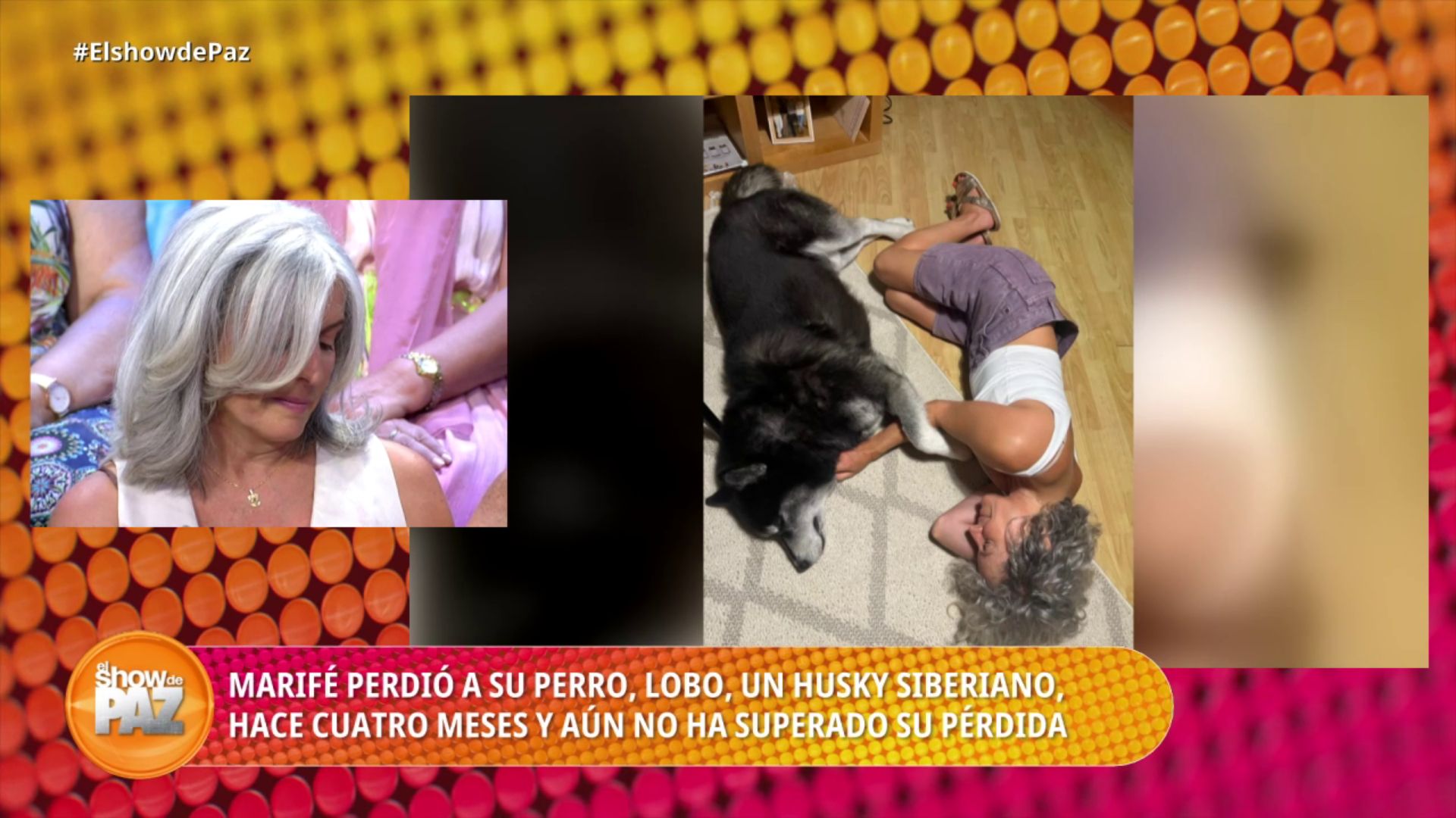 Marifé habla sobre su fiel compañero, Lobo, fallecido hace cuatro meses