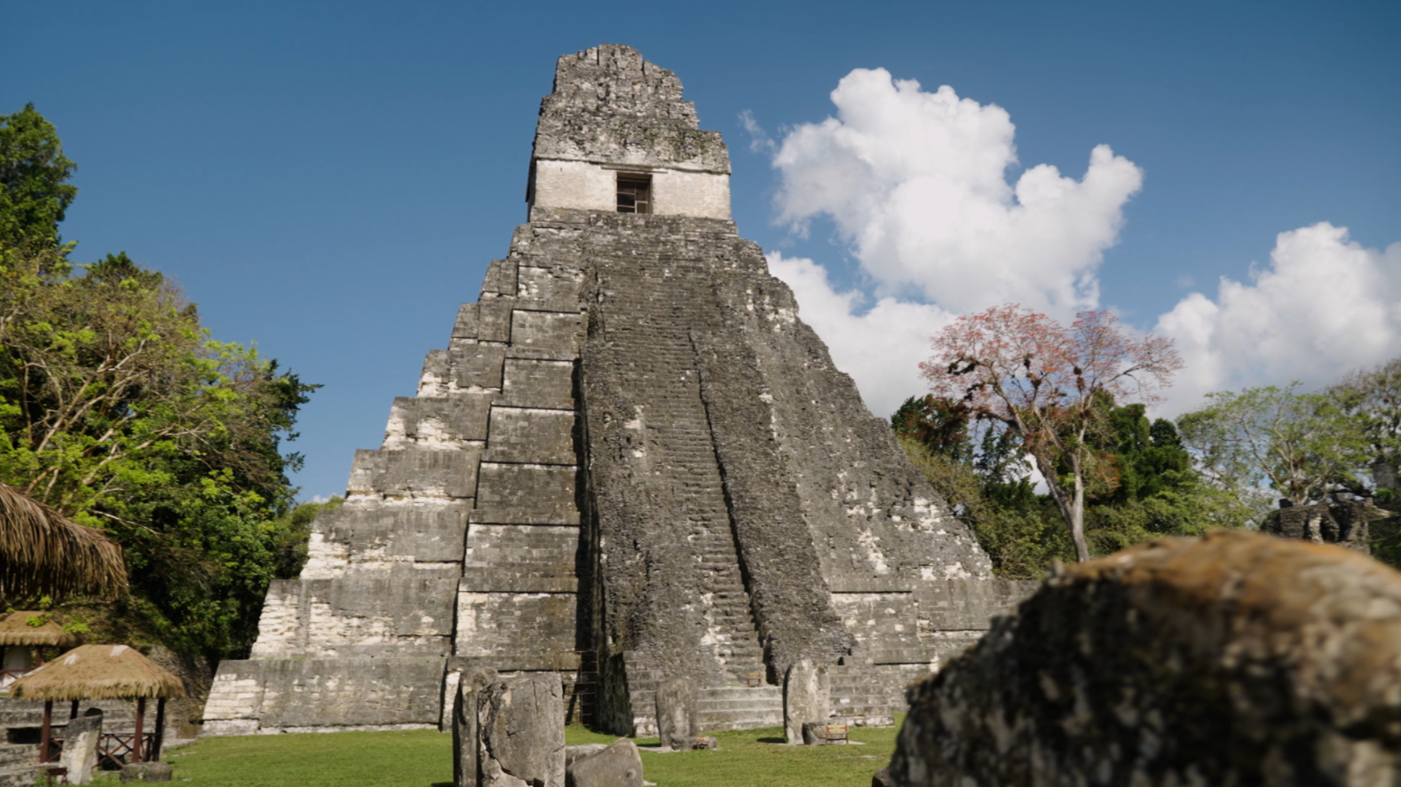 Tikal está rodeada por la selva de la Reserva de la Biosfera Maya y donde podemos encontrar el símbolo de Guatemala, el Gran Jaguar