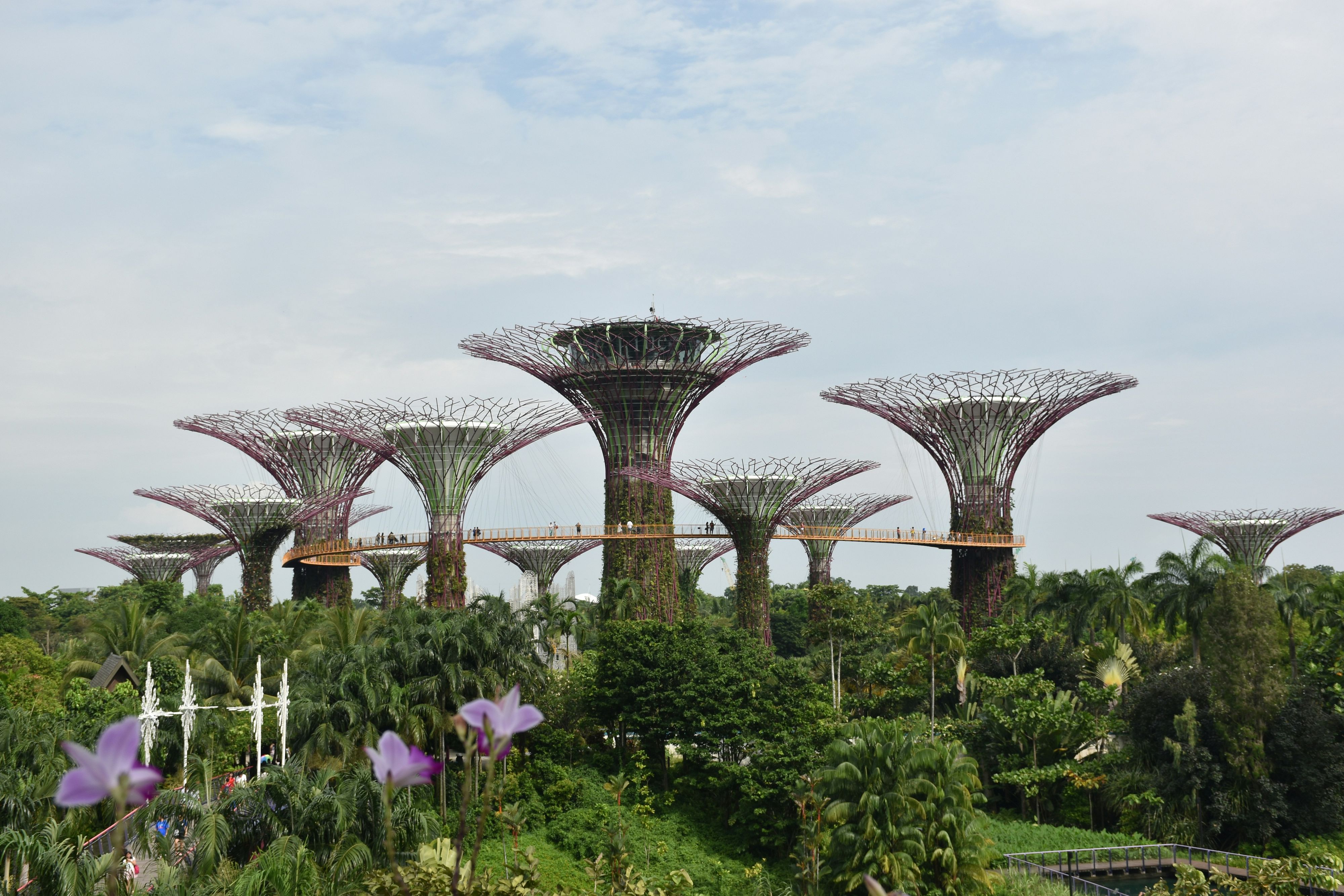 Gardens by the Bay, en Singapur, es uno de los espacios verdes más impresionantes del mundo