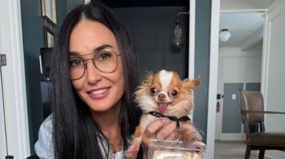 La actriz Demi Moore junto a su chihuahua, Pilaf
