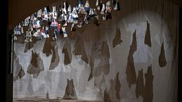 Ultima occasione: le mostre più belle da vedere prima che finiscano  