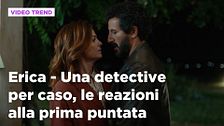 Erica - Una detective per caso, il riassunto e le reazioni alla prima puntata