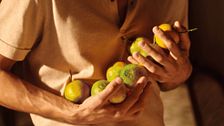 7 fragranze al mandarino per celebrare l’arrivo dell’autunno 