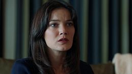 Segreti di famiglia 3, la puntata dell'1 gennaio 