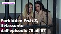 Forbidden Fruit 3, il riassunto della settimana dal 13 al 19 aprile