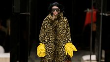Tutte pazze per la tendenza animalier, che fa sentire il suo ruggito fashionista anche nell’autunno 2026