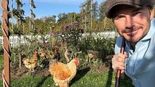 Gli hobby normali (e insospettabili) delle celebrities  