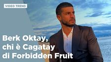 Chi è Berk Oktay