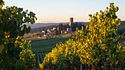 Il nuovo lusso del vino? Berlo prima che arrivi in bottiglia 