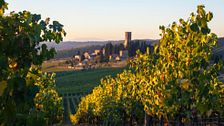 Il nuovo lusso del vino? Berlo prima che arrivi in bottiglia 