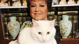 Orietta Berti, l'addio all'amato "gattone Fred"