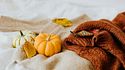 Zucca style, quando la natura ispira moda e design