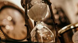 Dove trovare oggetti bizzarri e regali originali. Le 5 più belle camere delle meraviglie