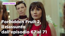 Forbidden Fruit 2, il riassunto della settimana dal 27 al 31 ottobre