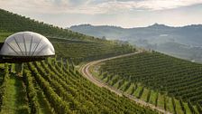 Cantine di design in Italia: quando il vino incontra l’architettura e l’arte  