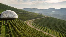 Cantine di design in Italia: quando il vino incontra l’architettura e l’arte  