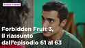 Forbidden Fruit 3, il riassunto delle puntate del 31 marzo in prima serata