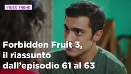 Forbidden Fruit 3, il riassunto delle puntate del 31 marzo in prima serata