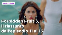 Forbidden Fruit 3, il riassunto della settimana dal 16 al 21 febbraio