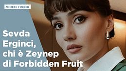 Chi è Sevda Erginci