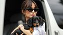 Pet care couture: perché il benessere degli animali è un nuovo status symbol  