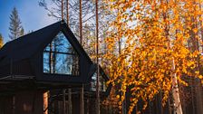 Le più belle case sull’albero per vivere il foliage