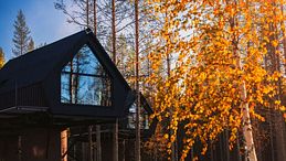 Le più belle case sull’albero per vivere il foliage