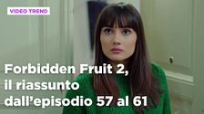 Forbidden Fruit 2, il riassunto della settimana dal 13 al 17 ottobre