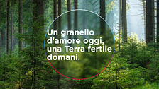 Un granello d'amore oggi, una terra fertile domani