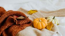 Zucca style, quando la natura ispira moda e design