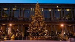 Natale 2025: le vetrine, gli eventi e le luminarie più spettacolari della moda 