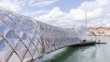 La Biennale di Architettura 2025 tra natura, tecnologia e adattamento 