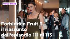 Forbidden Fruit 3, il riassunto delle puntate del 7 maggio in prima serata
