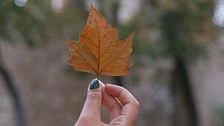 Beauty d’autunno: le nuove tendenze da provare