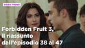 Forbidden Fruit 3, il riassunto della settimana dal 16 al 22 marzo
