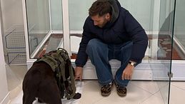 Nicolò De Devitiis, gli aggiornamenti sul cane Dotto: "Ha un tumore"