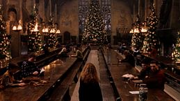 Harry Potter a Natale su Italia 1