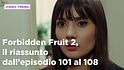 Forbidden Fruit 2, il riassunto della settimana dall'8 al 13 dicembre