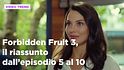 Forbidden Fruit 3, il riassunto della settimana dal 9 al 14 febbraio