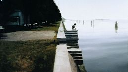 Gerhard Richter alla Fondation Louis Vuitton: il colore come memoria del mondo