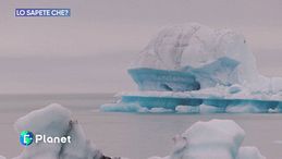 Approfondimenti 2026