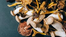 Comfort gourmet: quattro chef raccontano l’autunno con piatti che scaldano il cuore