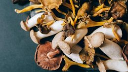 Comfort gourmet: quattro chef raccontano l’autunno con piatti che scaldano il cuore